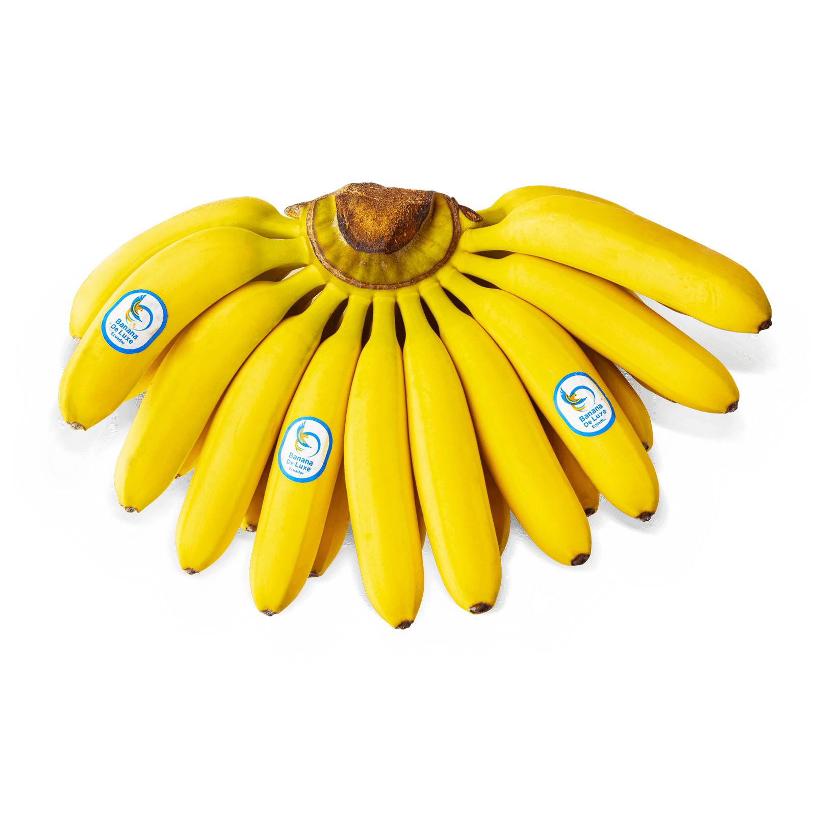 Банан бебі - 1