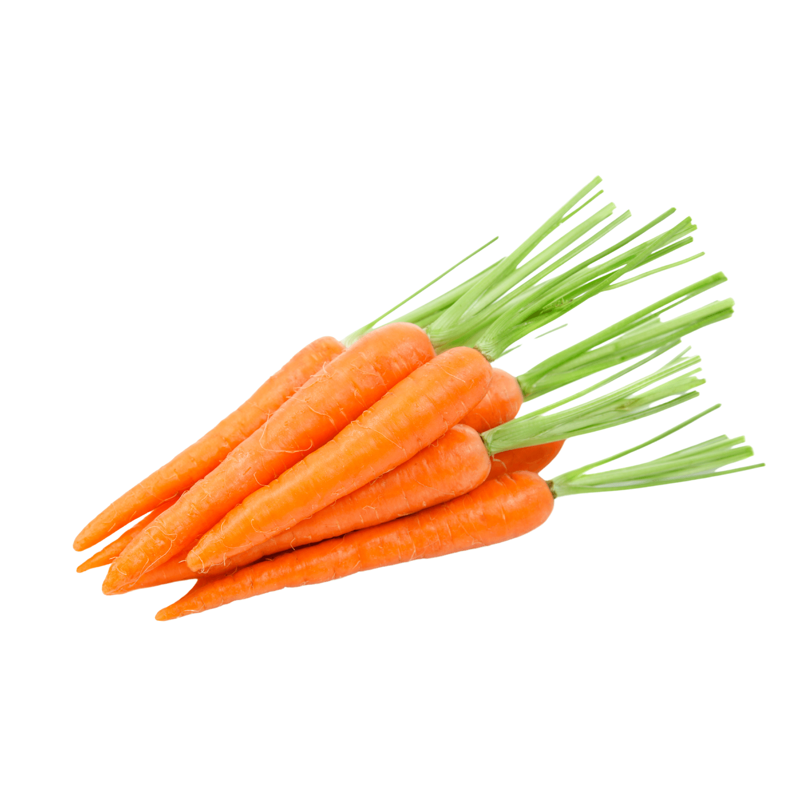 Морква молода з гичкою - 1