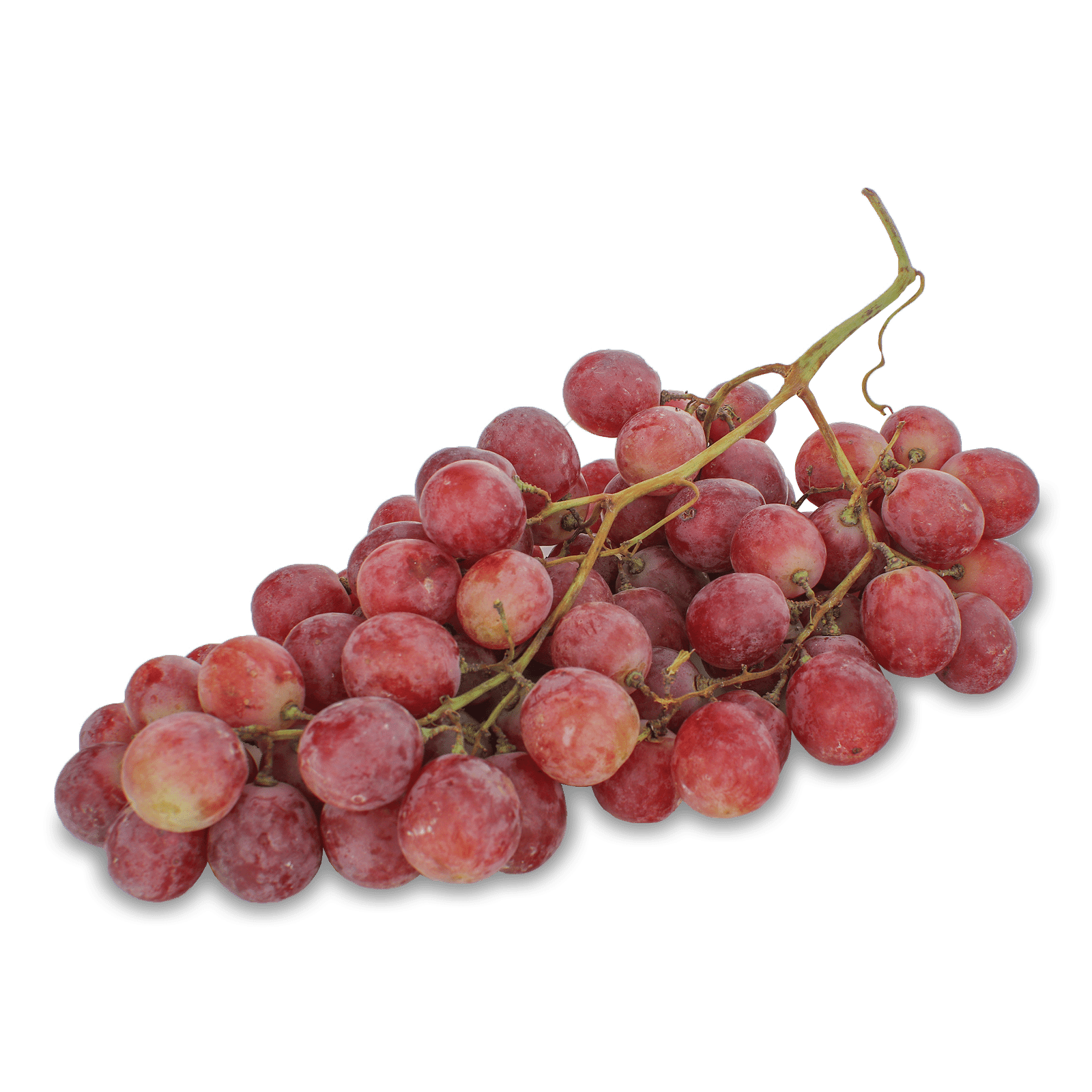 Виноград рожевий - 1