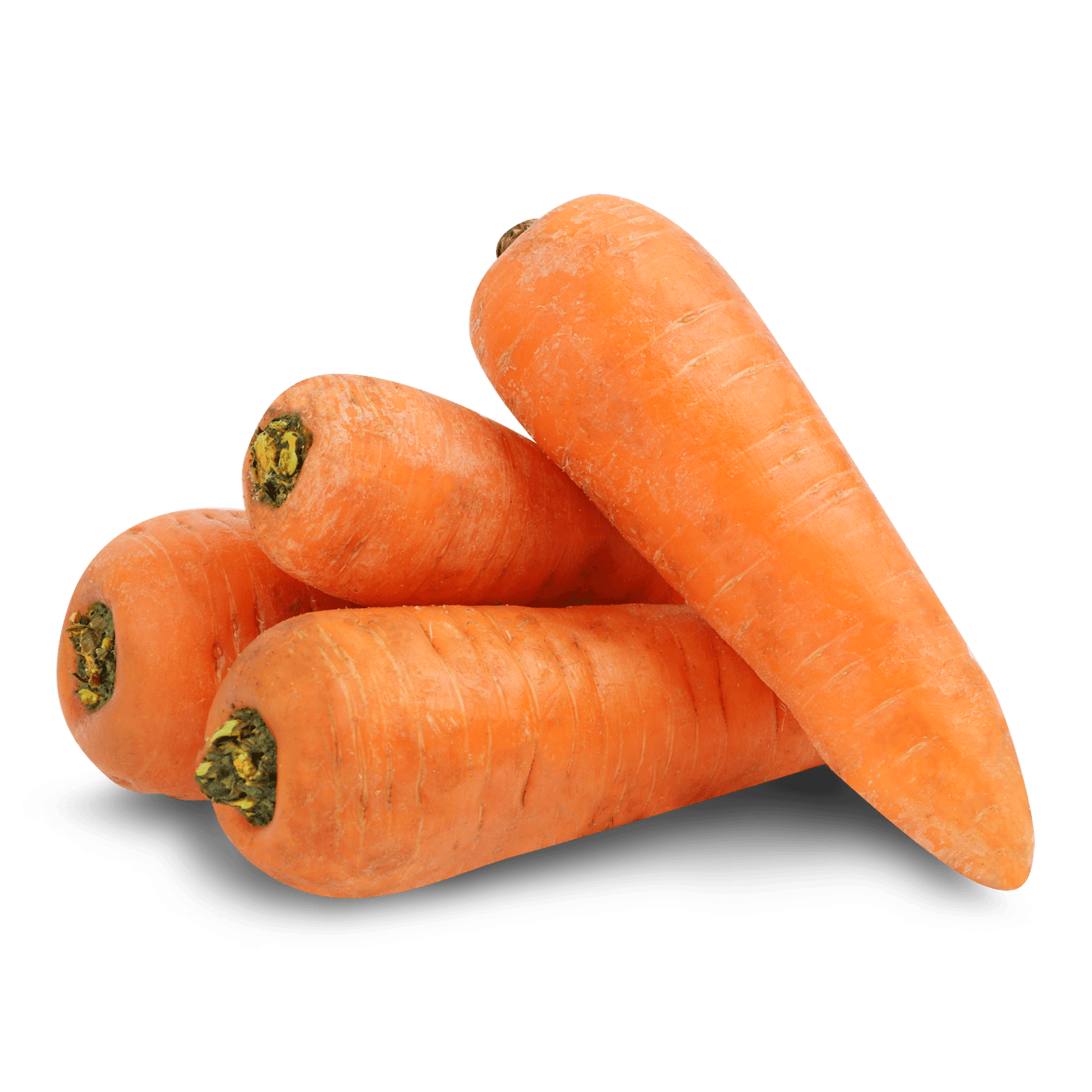 Морква - 1