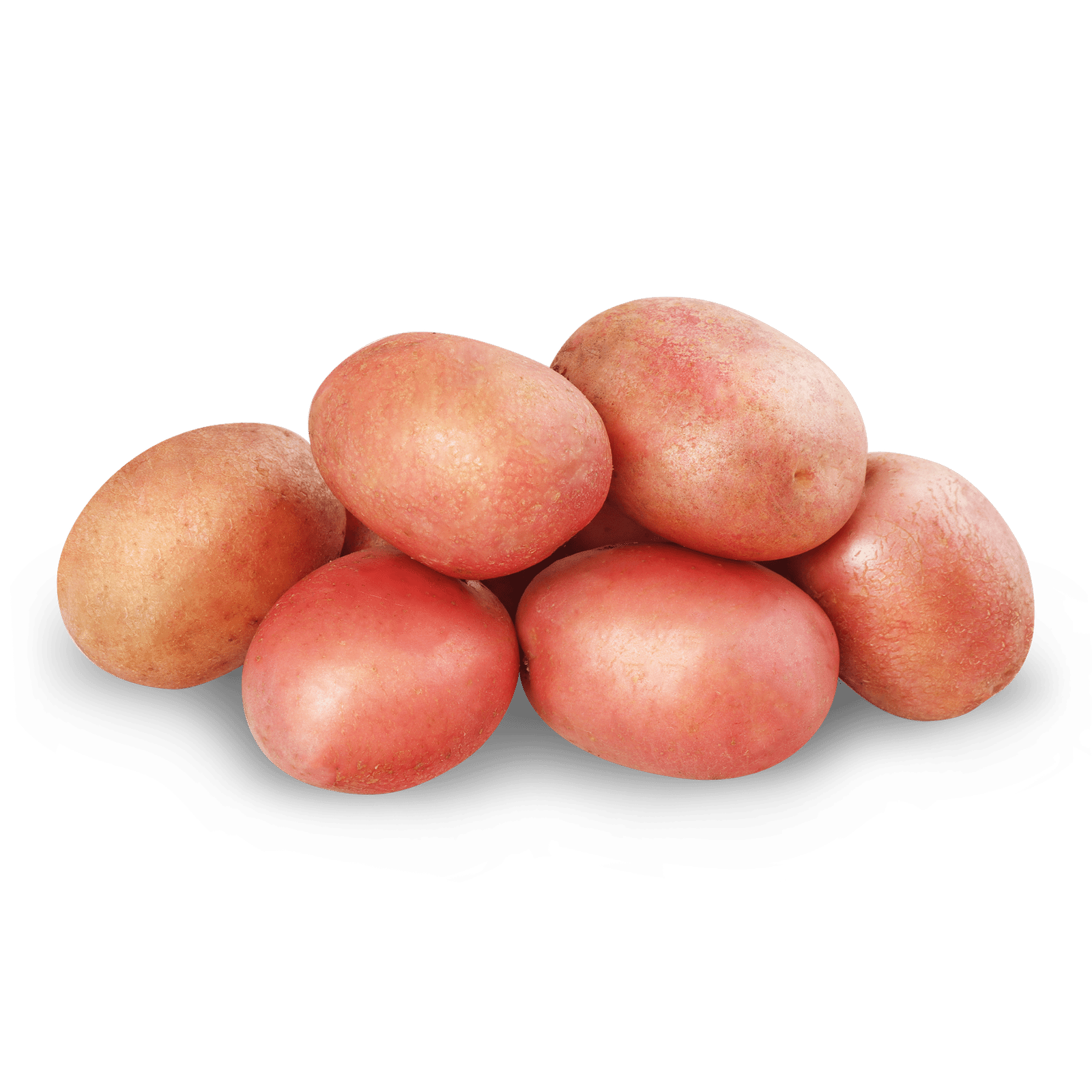 Картопля рожева мита - 1