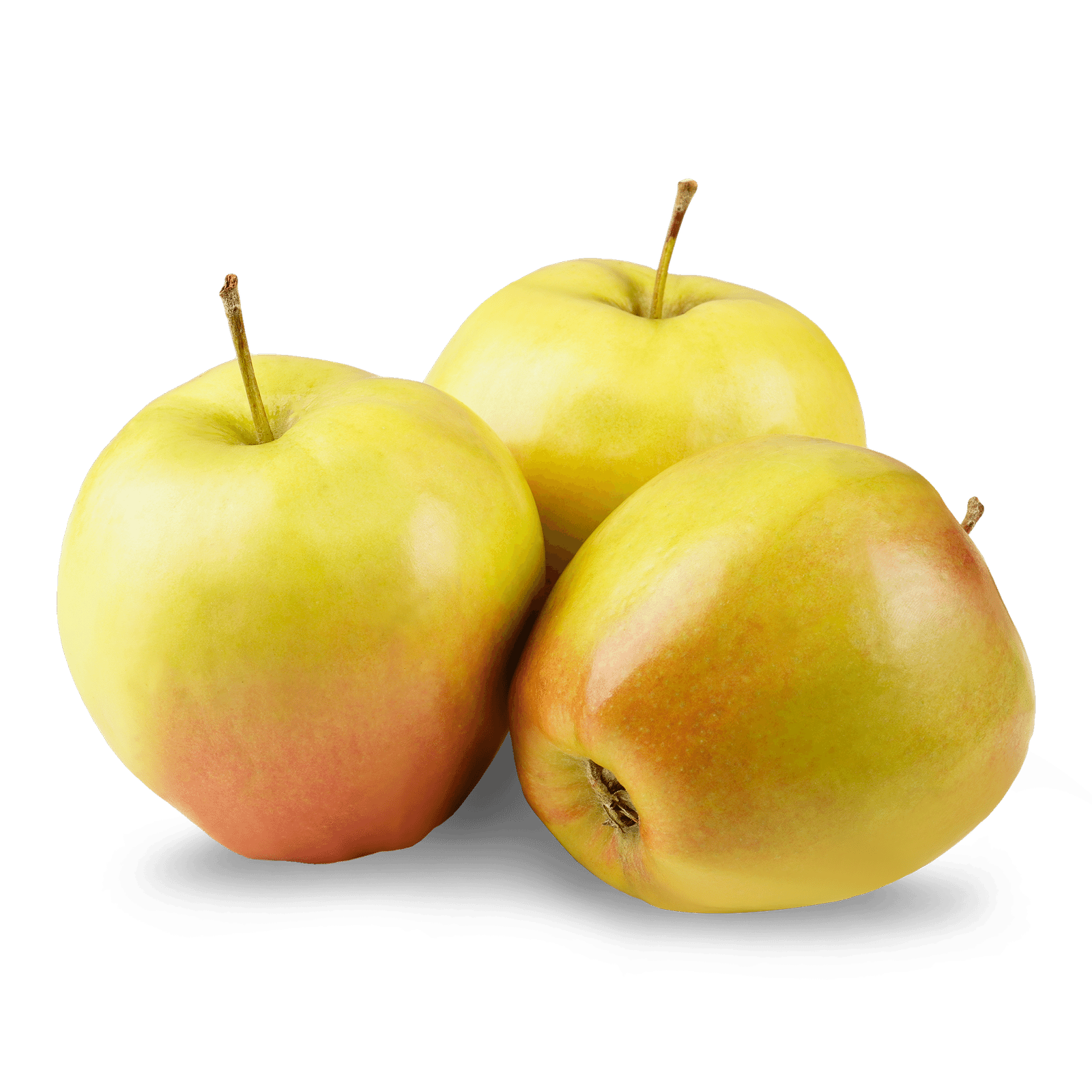 Яблуко Лігольд - 1