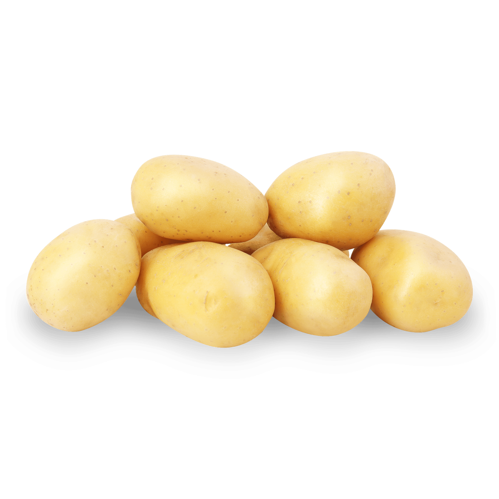 Картопля біла рання мита - 1