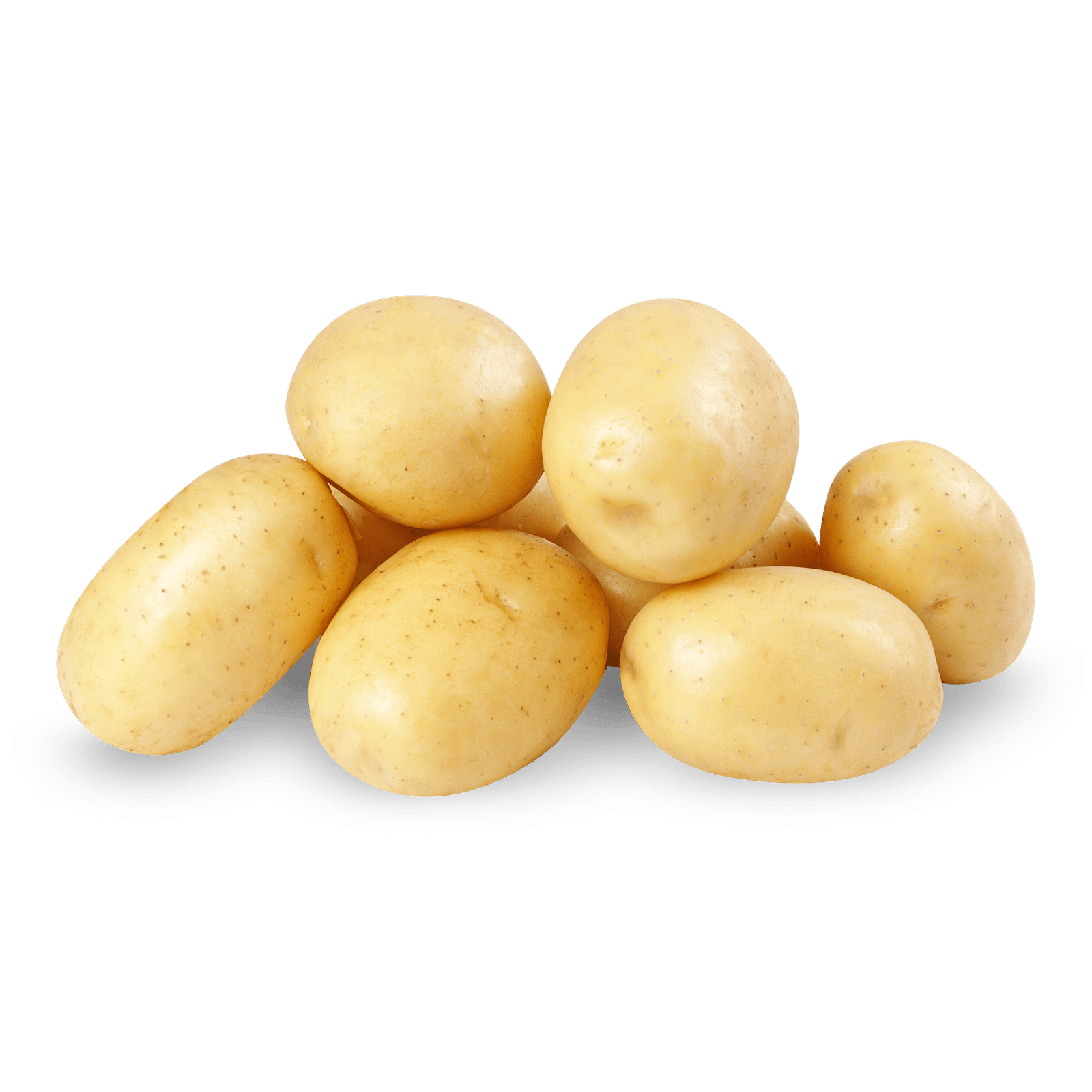 Картопля біла мита - 1