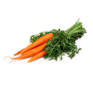 Морква, пучок